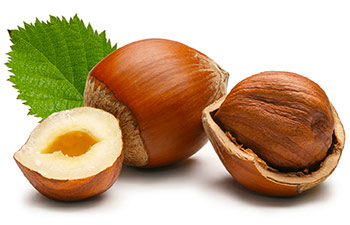 Nocciole biologiche del Piemonte Nocciole biologiche